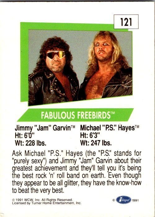 1991 WCW Wrestling Card Fabulous Freebirds sk21181