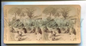 3143301 CHINA PEKING Camels Vintage STEREO PHOTO