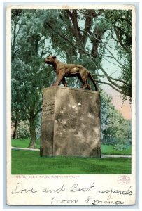 1906 Catamount Statue Sculpture Monument Bennington Vermont VT Vintage Postcard