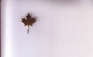 Pin, Maple Leaf, Brass Colour