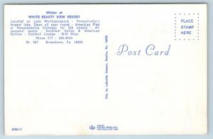 Postcard PA Lake Wallenpaupack White Beauty View Resort Winter View M13