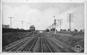 13659 Bellmead, New Jersey, Royal Blue Line, Baltimore & Ohio Railroad Postcard