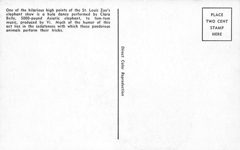 St Louis Missouri~Asiatic Elephant Performs Hual Dance~Trainer Vi 1952 Postcard