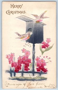 Norfolk Virginia VA Postcard Christmas Birds Cage Flowers Airbrushed 1906 Posted