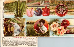 Buckbee's Seeds Rockford Seed Farms Forest City Greenhouses, Ill Coupon Postcard