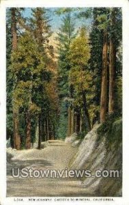 New Highway, Chester - Mineral, CA