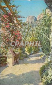 Old Postcard Jardin Exotique de Monaco Bougainvillea spectabilis and Euphorbi...