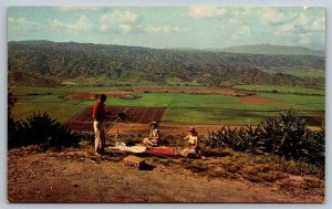 Yabucoa to Maunabo - Puerto Rico - Postcard