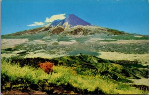 Japan Mount Fuji Vintage Postcard C156