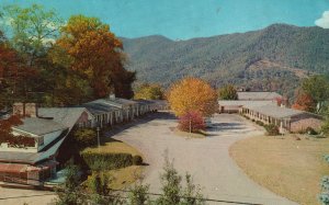 Vintage Postcard View of Oak Park Inn Waynesville North Carolina N. C.