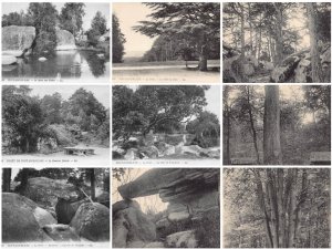 France Fontainebleau Foret Forest Landscapes Nature lot of 9 postcards C347