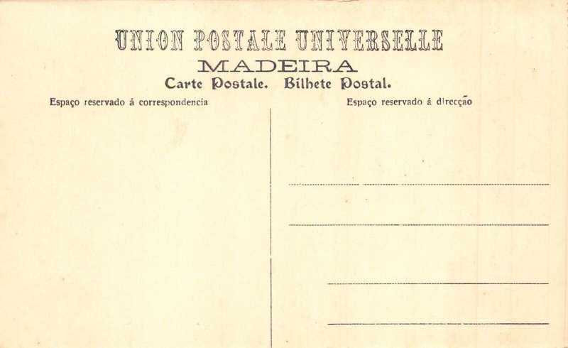 A001 Portugal Madeira Hammock carried by two men vintage postcard