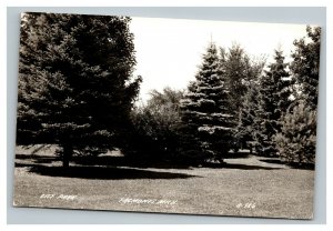 Vintage 1950's RPPC Postcard City Park Fremont Michigan