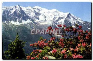 Postcard Moderne Du Livre D & # 39Images From Mont Blanc Rhododendron King of...