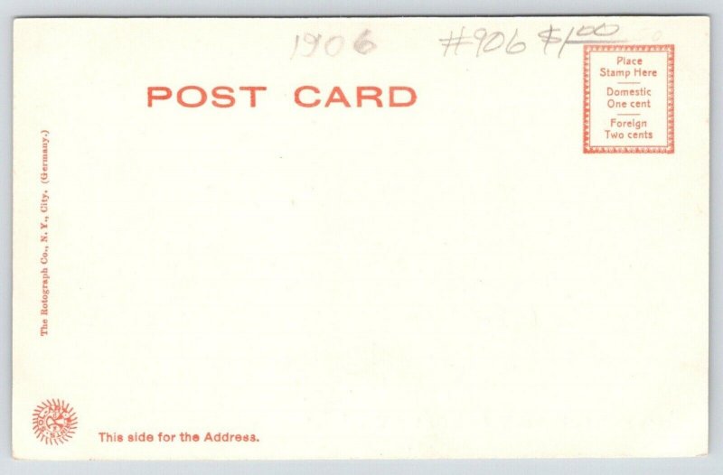 Fond du Lac Wisconsin~Carnegie Public Library~Castle Towers~Gone Now~c1905