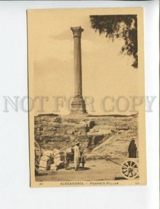 3172200 EGYPT ALEXANDRIA Pompei's Pillar Vintage postcard