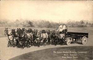 Providence RI The Big Nine Horse Team James Hanley Brewing Vintage Postcard