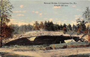 G8/ Livingstone County Kentucky Postcard c1910 Natural Bridge 225 Feet