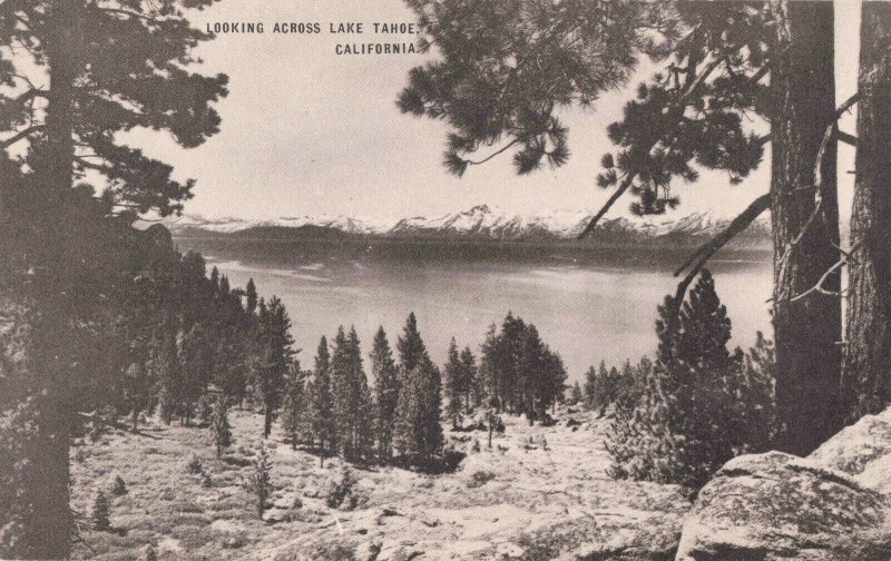 Postcard Looking Across Lake Lake Tahoe California