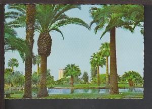 Encanto Park Phoenix AZ Postcard BIN 