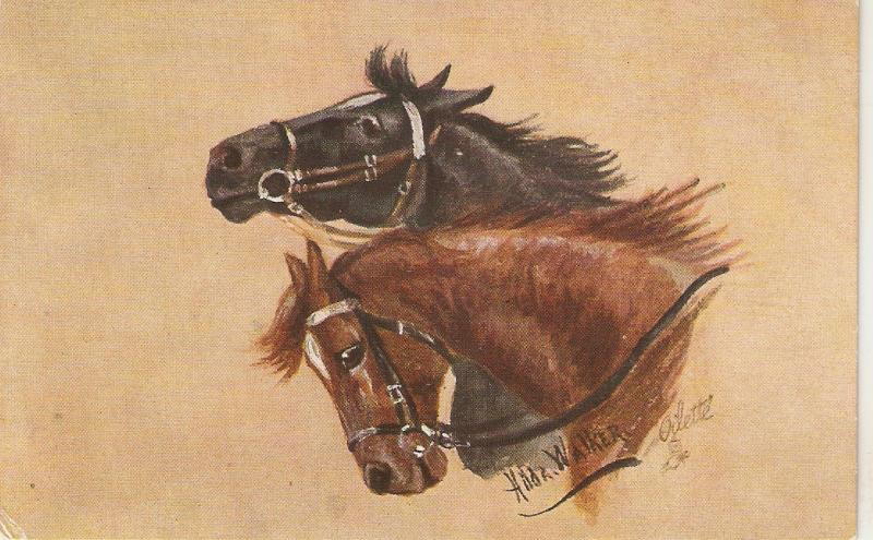 Hilda Walker. Horses Heads Tuck Oilette Postcard No. 9692