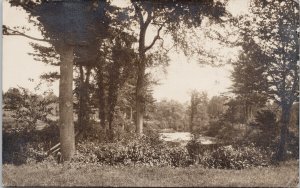 Dixfield Maine ME Nature Scene Landscape c1919 RPPC Postcard H15