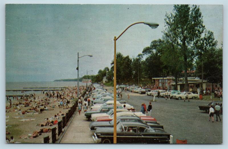 Postcard MD Chesapeake Beach View in Chesapeake Beach Park c1960s Old Cars S6