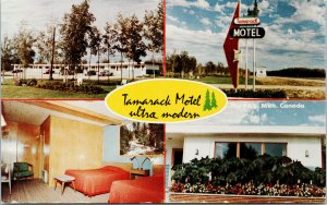 Tamarack Motel The Pas MB Manitoba Multiview Unused Vintage Postcard F30