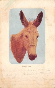 Sunny Jim Donkey 1905 writing on front, tab marks on corners from being in album