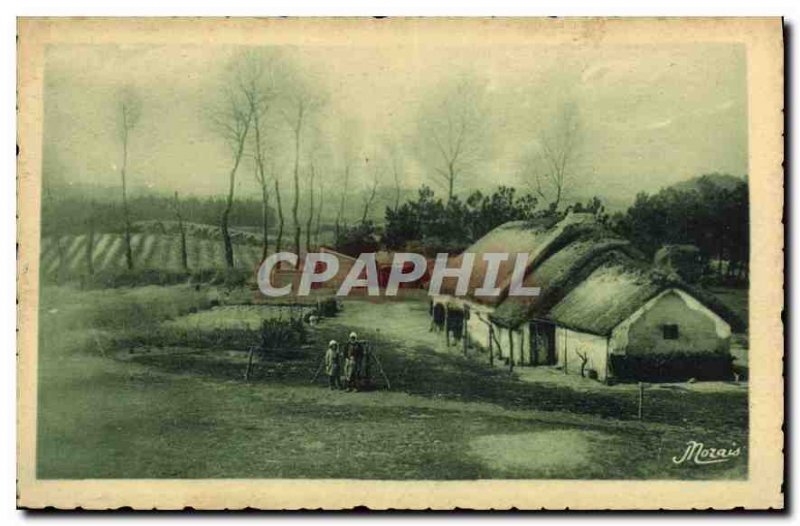 Old Postcard Most Beautiful landscapes of the Vendee Maraichine Bourine has O...