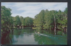 America Postcard - Beautiful Rainbow River,Marion County,Dunnellon,Florida T6205