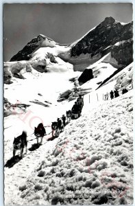 c1950s Interlaken, Switzerland Snow Dog Sled Team RPPC Verlag Walter Schild A150