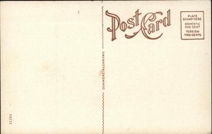 Florence Alabama AL State Normal School c1920 Postcard