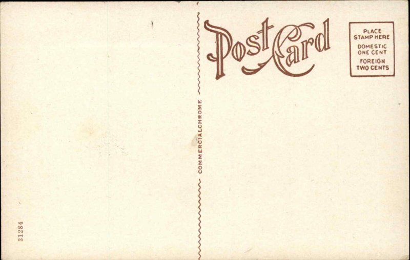 Florence Alabama AL State Normal School c1920 Postcard