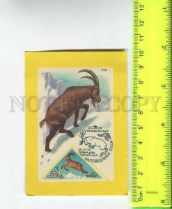 481891 USSR 1991 advertising philately goat tour Original old Pocket CALENDAR