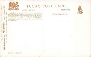 Raphael Tuck Indian Chiefs Chief Iron Owl Series I Postcard