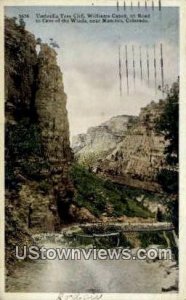 Umbrella Tree Cliff - Manitou, Colorado CO