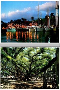 2~4X6 Postcards MAUI, HI Hawaii LAHAINA HARBOR Sunset & Pre Fire BANYAN TREE