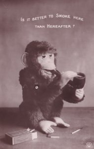 Pipe Smoking Monkey & Box Matches Antique Real Photo Old Postcard