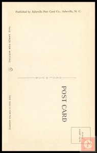 Southern Moonlight and the Pines