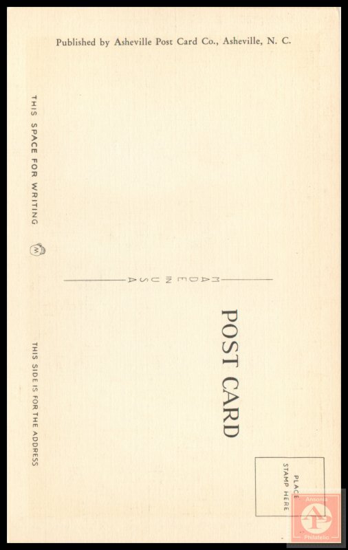 Southern Moonlight and the Pines