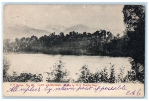 1907 Lake Mapourika New Zealand F.T. Series NZ Tourist Dept. Postcard