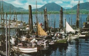 A Few Of The Boats Belonging To The Huge Fishing Fleet At Ketchikan Alaska