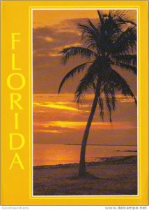 Florida Beautiful Sunrise Along The Coast