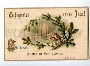 240398 NEW YEAR Birds in SNOW Vintage EMBOSSED postcard