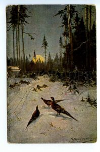 494279 MULLER Mueller WINTER Pheasant MOON Vintage postcard 1912 year POST