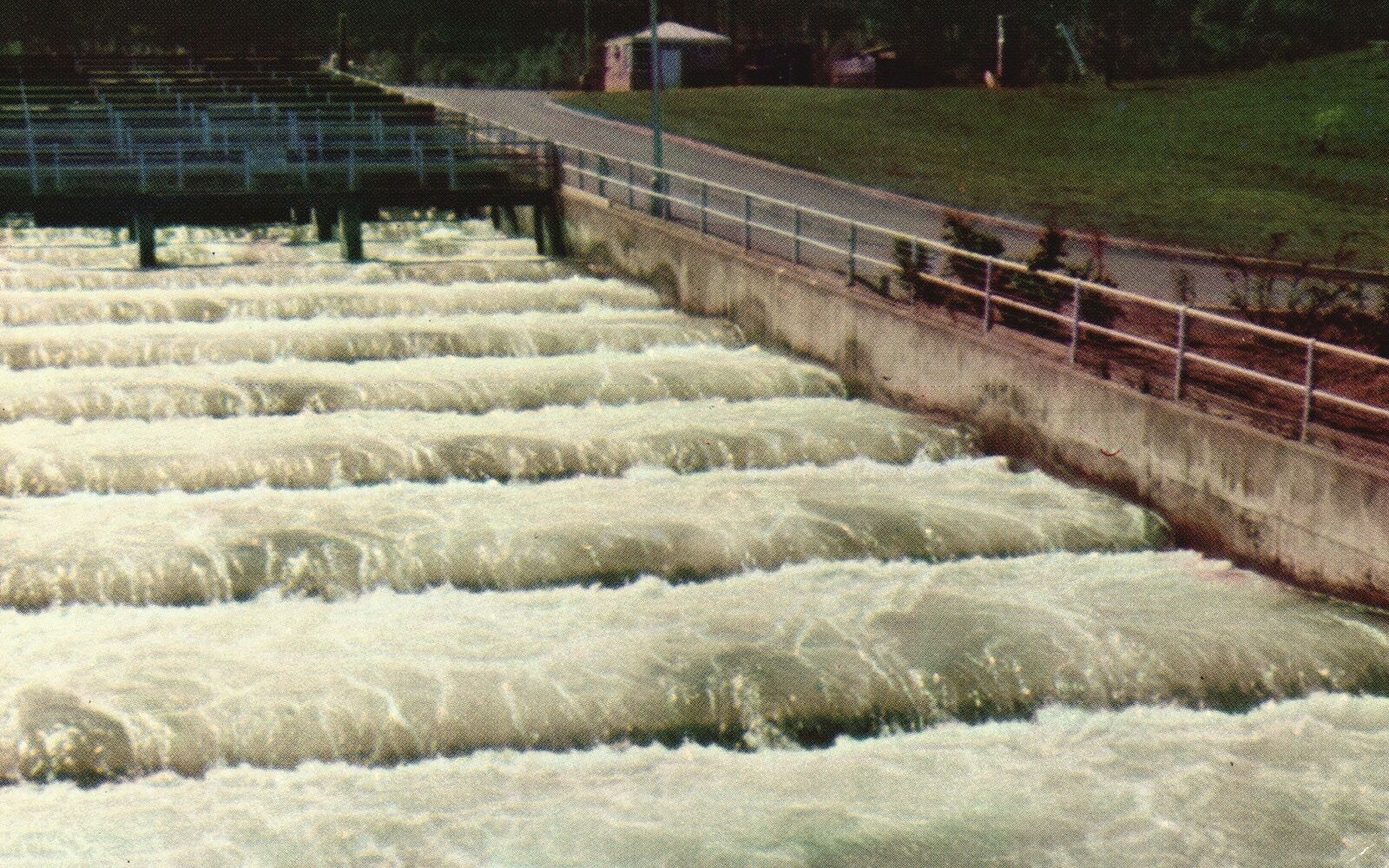 Vintage Postcard Bonneville Dam Fishway Ascending Salmon To Columbia