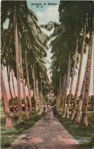 PC PHILIPPINES, AVENUE OF PALMS, Vintage Postcard (b39158)