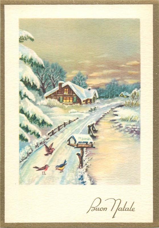 Buon Natale winter landscape fantasy postcard birds