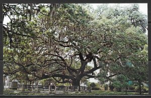Florida, Palatka - Live Oak - Putnam County Courthouse - [FL-342]
